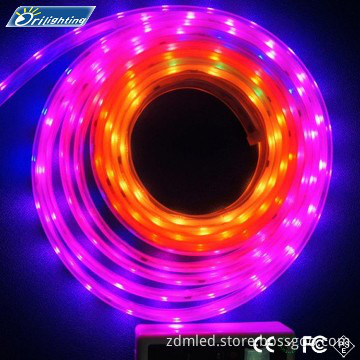 2014 high quality 3528 warm white led strip with ROHS CE FCC PSE